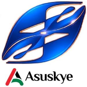 cropped asuskye pin 1